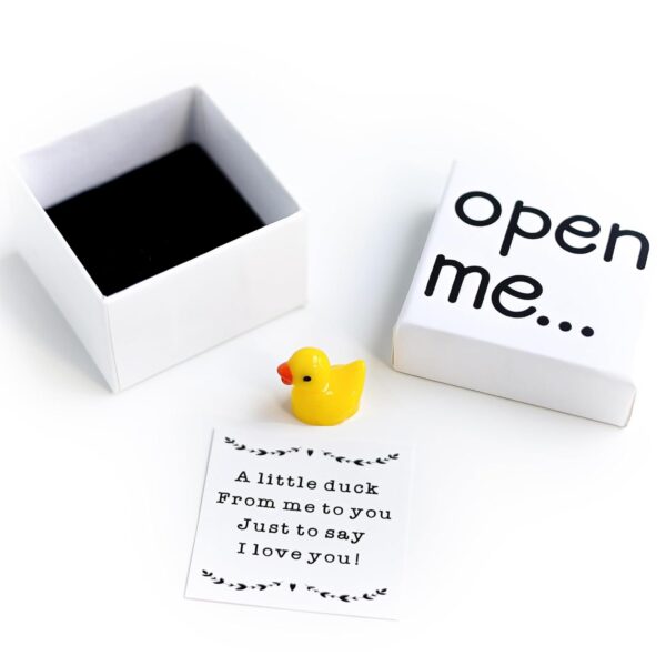 I Love You Duck Gift, Valentine's Day Matchbox Gift for Boyfriend and Girlfriend