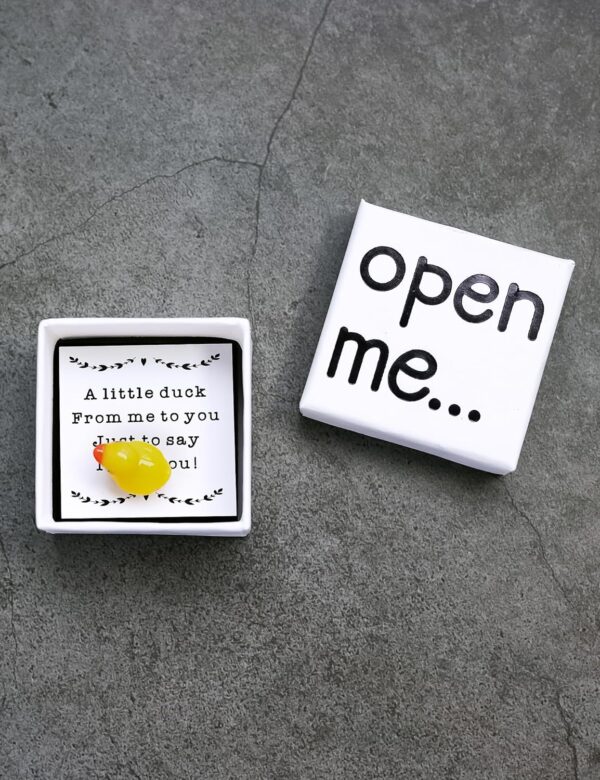 I Love You Duck Gift, Valentine's Day Matchbox Gift for Boyfriend and Girlfriend - Image 7